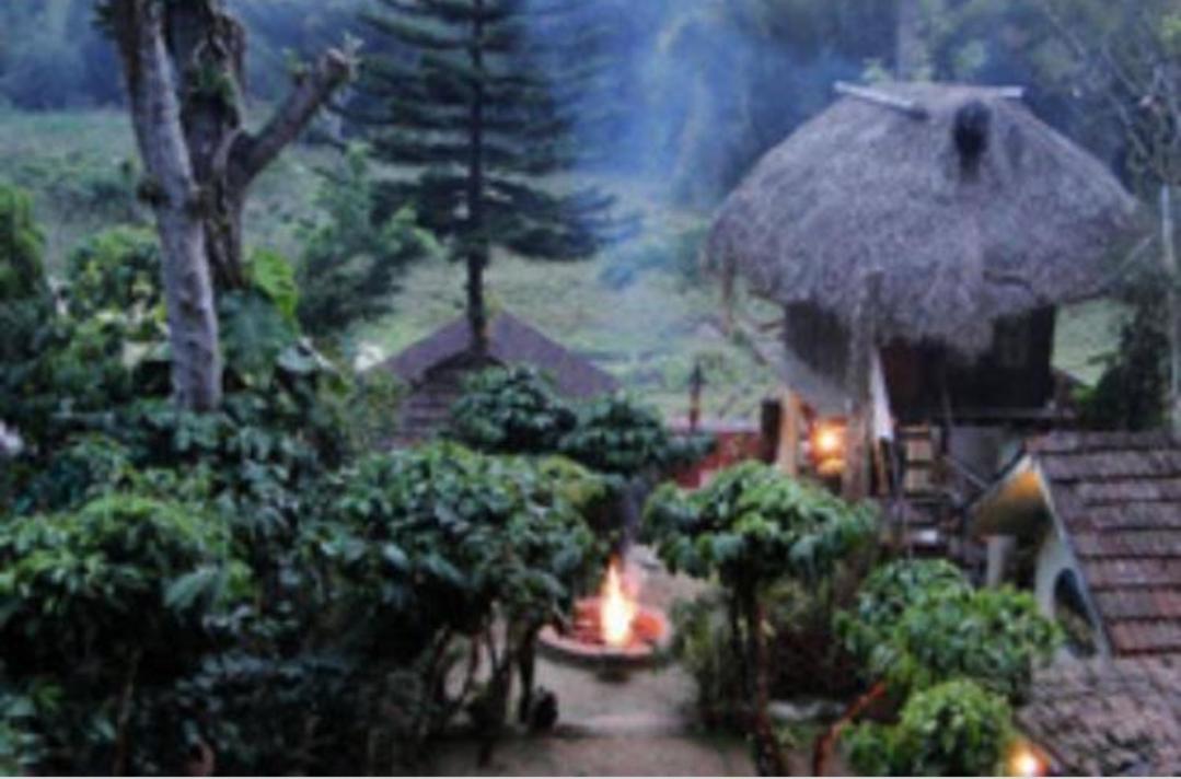 Coffee Inn Thekkady Exterior photo